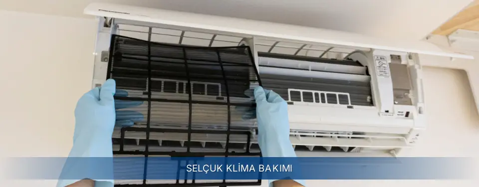 Selçuk İlçemi Electrolux Klima Bakımı