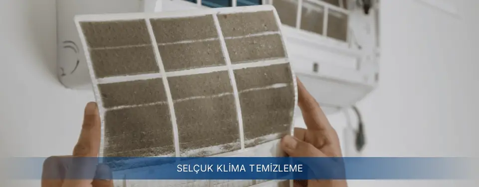 Selçuk İlçemi Electrolux Klima Temizleme